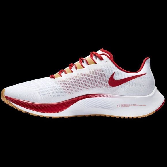 Rare and Sold out NIKE Air Zoom Pegasus 37 San Francisco 49ers team shoe 5.5 US - Picture 1 of 6